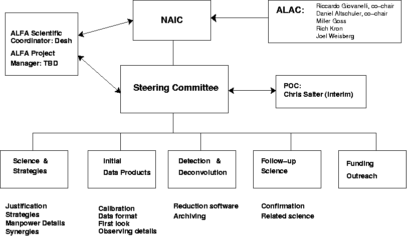 organizational structure format