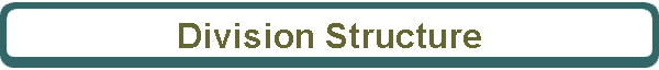Division Structure
