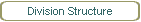 Division Structure
