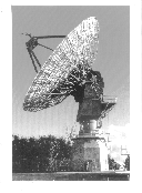 TEL